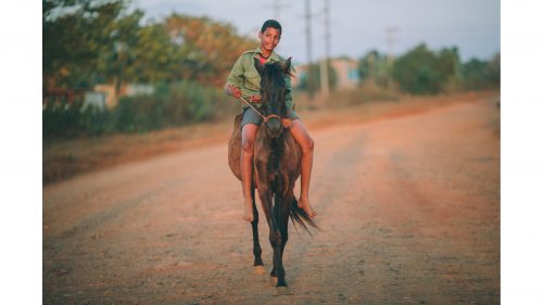 Cuban horses, often used for transportation and just about anything else, were a regular sight on our ride.