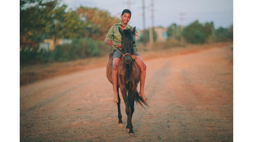 Cuban horses, often used for transportation and just about anything else, were a regular sight on our ride.