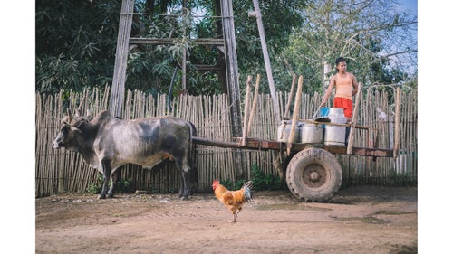 A classic roadside scene in Cuba. We happened on this water tower in the small farming village of San Antonio, where this young man was filling his water jugs on an ox-drawn cart.