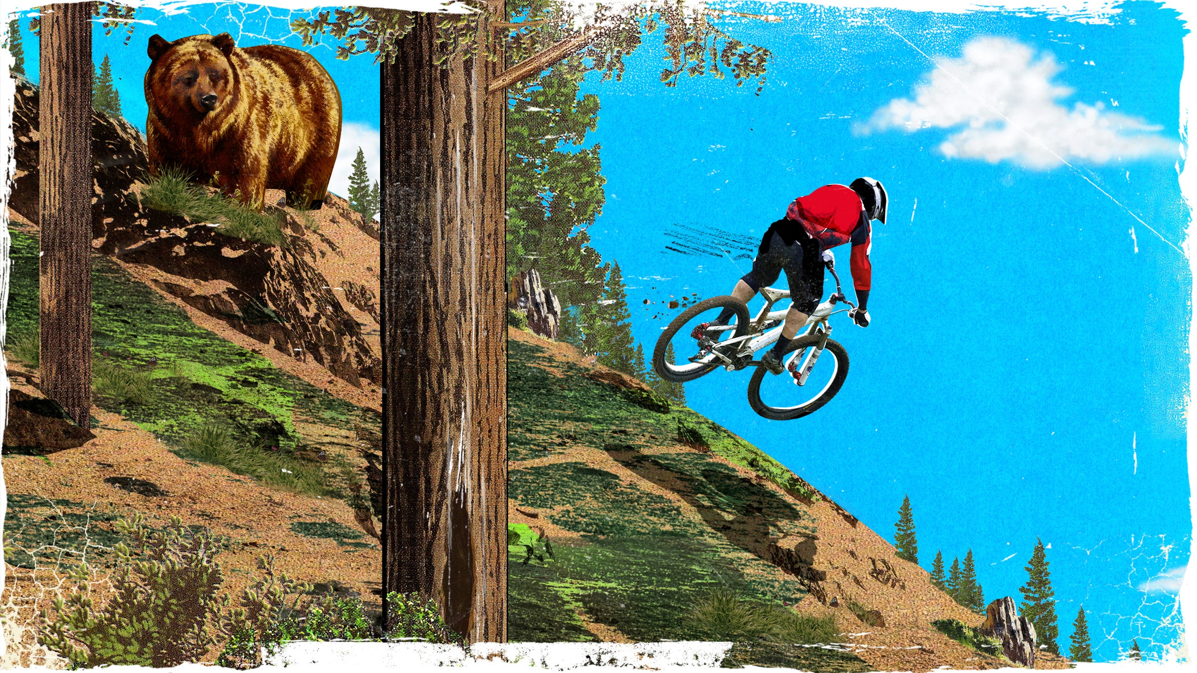 As mountain bikers ride more bear inhabited areas, more contact with the animals is inevitable. 