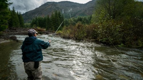 #6 Green-Toutle Rivers
Washington
The Green River, the largest tributary of Washington’s North Fork Toutle River, provides drinking water for locals and is critical habitat for wild steelhead. Accessible only by a single lane road, the Green River Valley is the kind of remote wilderness that’s increasingly hard to find. A proposed gold, copper and molybdenum mine at the river’s headwaters could threaten all this, American Rivers says. Permits still have to be approved by the Bureau of Land Management, but the project could move forward soon.