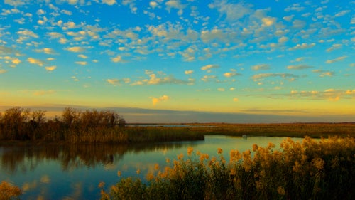 #4 Mobile Bay Rivers
Alabama
The Mobile Bay Basin and its rivers and delta stretch across Mississippi, Alabama, and Georgia and is home to 14 percent of all freshwater flows in the U.S. The vast majority of Alabama relies on it for drinking water. The flow has been dramatically mismanaged, however, and American Rivers argues that Alabama’s unsustainable usage (and wastage) during a drought this summer led to 10 percent of the watershed’s streams setting record lows. Alabama has been working on a comprehensive water plan for the last five years, and though the state government may finally take action this year, American Rivers isn’t confident it will be enough.