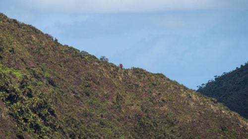 The summit ridge is a roller coaster of ups and downs through thick overgrowth. Sticks poke and prod, bushes snag your pack and clothing, and unstable rocks challenge hikers the whole way.