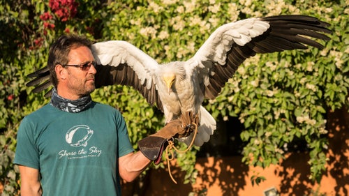 Bob shows off his six-foot wingspan, the very tool that allows him to glide effortlessly through the skies.