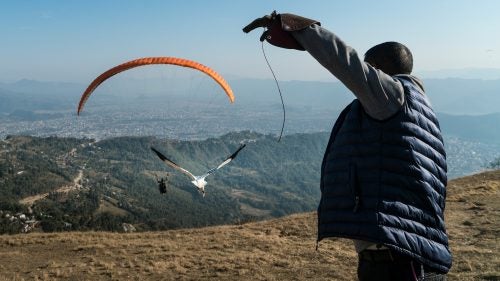 Our local driver in Nepal, Shiva, releases Bob just after we take off. The vulture quickly overtakes us and begins looking for thermals above Pokhara.