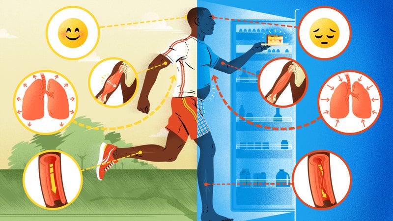 When the temptation to skip a workout inevitably arises, think about these effects on your body.