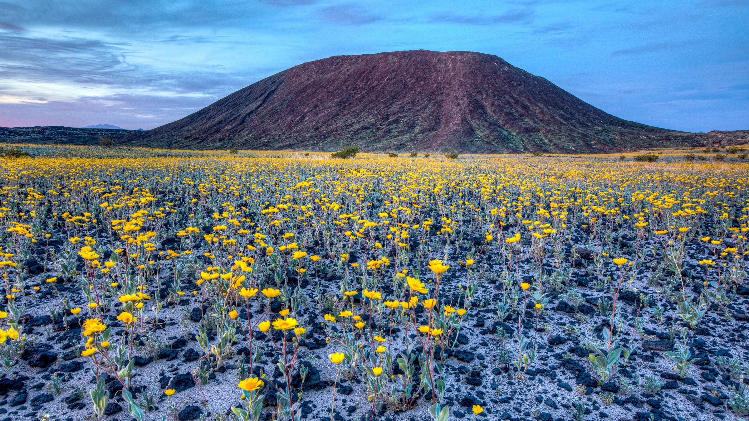 Amboy Crater, off the old Route 66 in the eastern Mojave Desert.