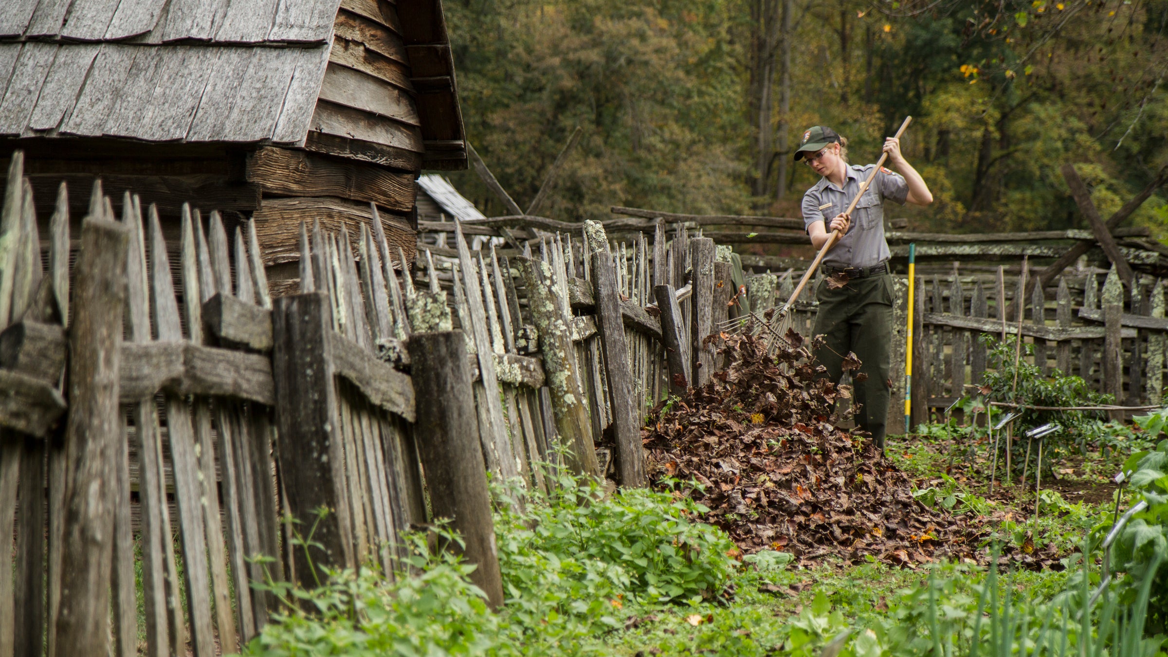 A park ranger attends to maintenance at North Carolina's Great Smoky Mountains National Park.