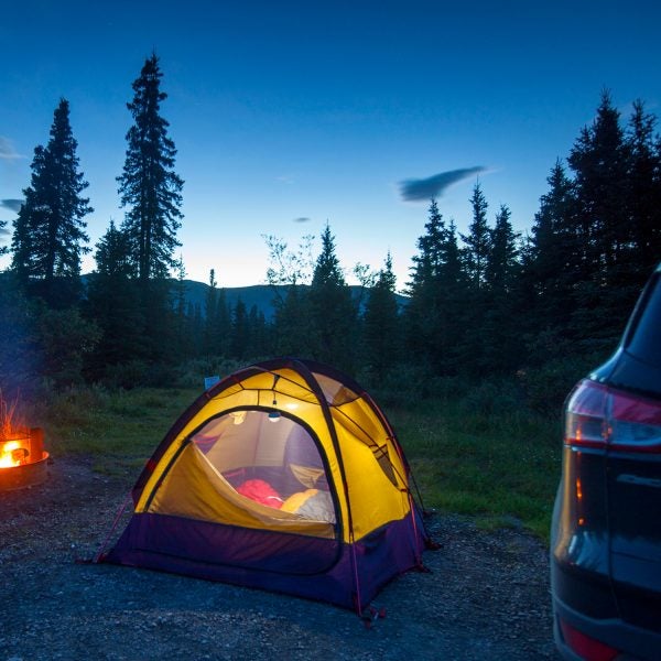 Car Camping in Teklanika Campground in Denali National Park, Alaska