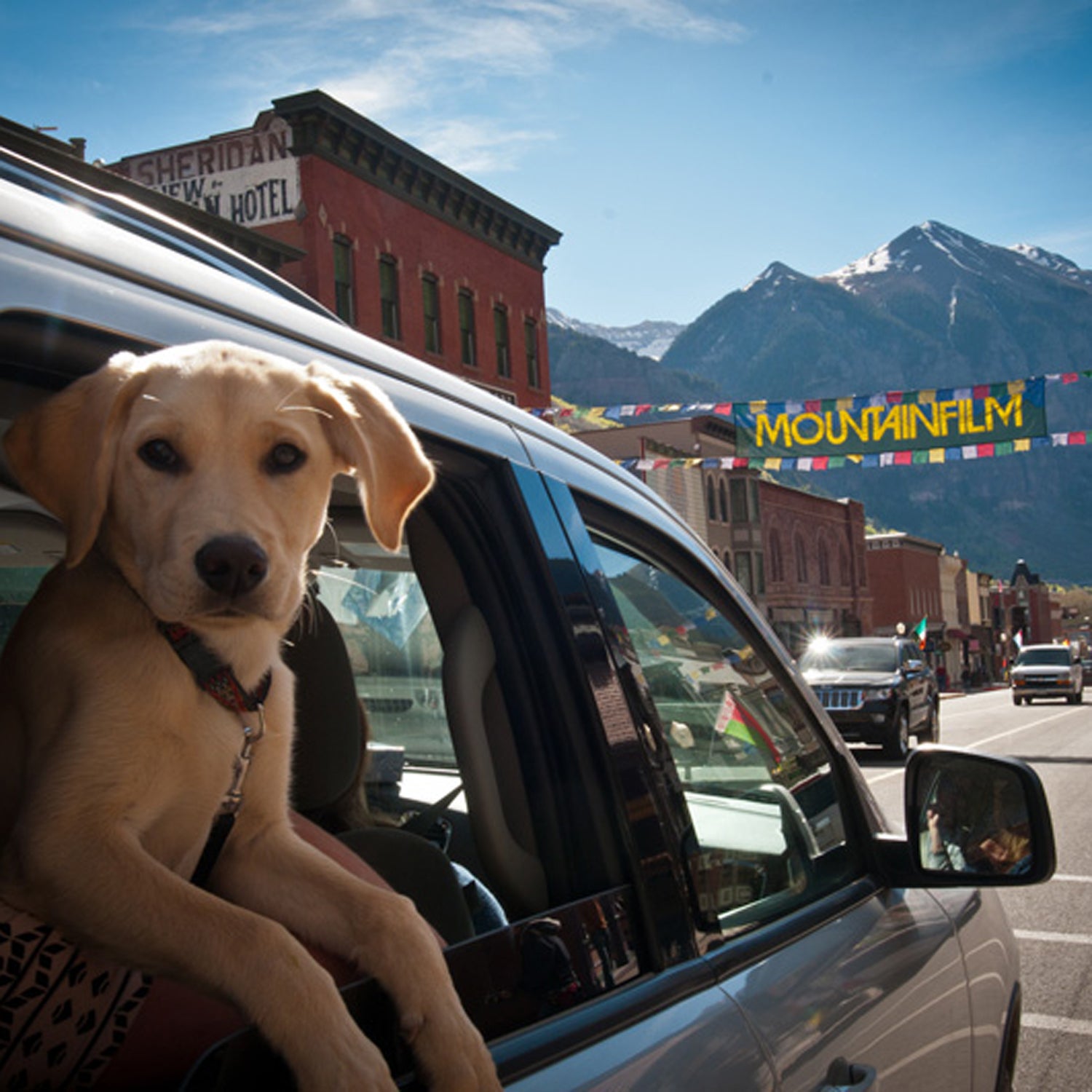 The 10 Movies at Telluride Mountainfilm That We're Most Excited About