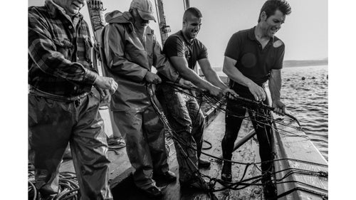 Aboard the Bermudez, the sun is slowly warming the decks as we near the hunting grounds. The youngest members of the group, the divers, slip into neoprene suits to head below the waves and scout the nets. The day’s hunt can easily be scuttled by a lack of tuna in the maze or heavy seas—any number of reasons that reduce the economic opportunity for these men already working under a short six-week time window. Fortunately, today looks good, the divers report the maze is full, and the crew becomes noticeably more talkative, flashing smiles.