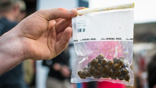 In addition to blood, biologists collect fecal samples directly from the animal. These samples provide valuable insight into animal diet and hormone concentrations, including cortisol, a hormone that gives researchers an indication of the animals’ stress levels.