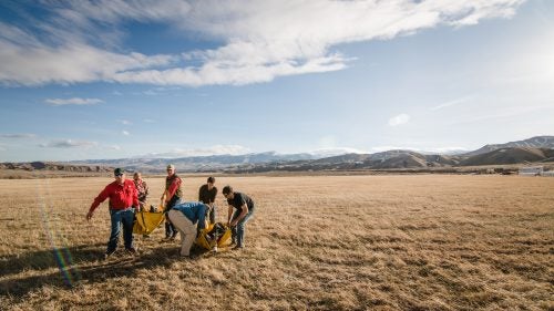 After the helicopter drops off the animals, biologists remove the transport harness and place the animals on litters. They then delicately carry the animals to padded mats, where biologists take measurements and collect samples to check overall health.