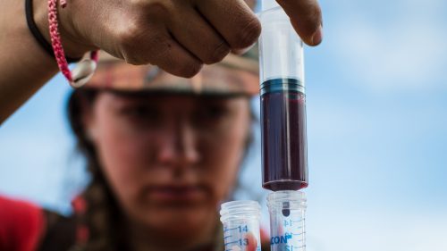 Ortega processes a blood sample collected from a mule deer doe near Lander, Wyoming.
Scientists analyze the blood for hormone concentrations, genetics, and disease. Ortega will continue this research for three more years and promises to post updates on her Instagram.