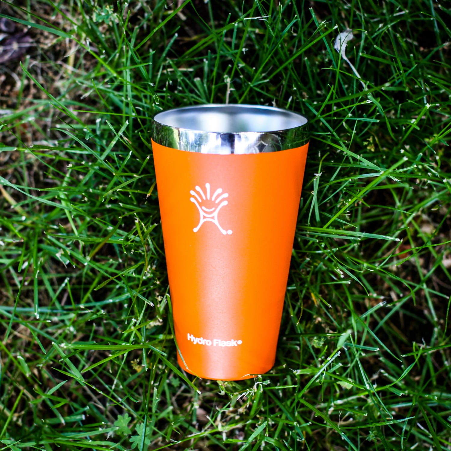 This 16-ounce insulated powder-coated vessel is the author's water glass, beer pint, coffee cup, and soup bowl.