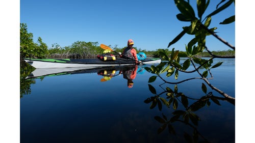 Morning was typically the best time for paddles with low wind and calm water. Here, Cripps in one of many mangrove lagoons.