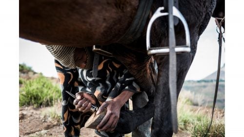 Here, the 22-year-old Molapo cleans the hooves of his 15-year-old horse, Stan. Horses are an integral part of life in rural Lesotho, and while most are traditionally used as working animals, Isaac now earns his living largely as a horse guide for tourist excursions in his hometown of Semonkong.