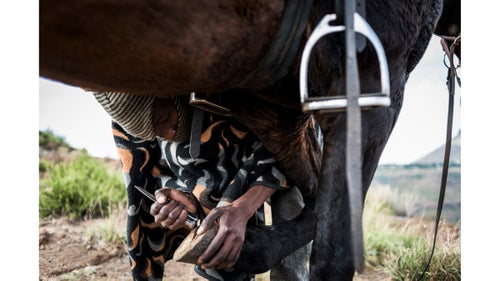 Here, the 22-year-old Molapo cleans the hooves of his 15-year-old horse, Stan. Horses are an integral part of life in rural Lesotho, and while most are traditionally used as working animals, Isaac now earns his living largely as a horse guide for tourist excursions in his hometown of Semonkong.
