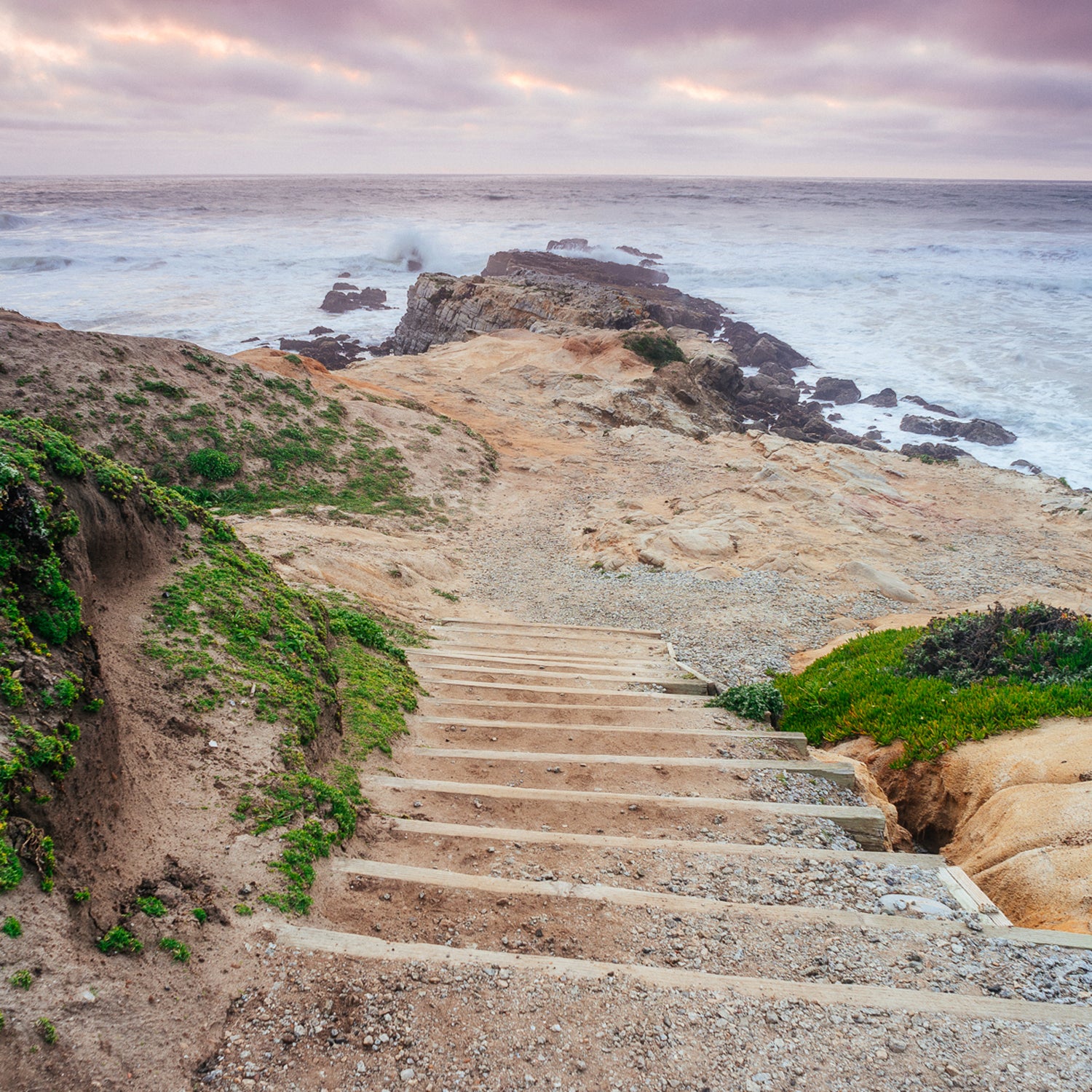 Pescadero State Beach is a sandy mile-long shore, perfect for spotting sea lions and taking sunset walks.