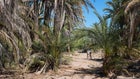 A sandy section of the Baja Divide.
