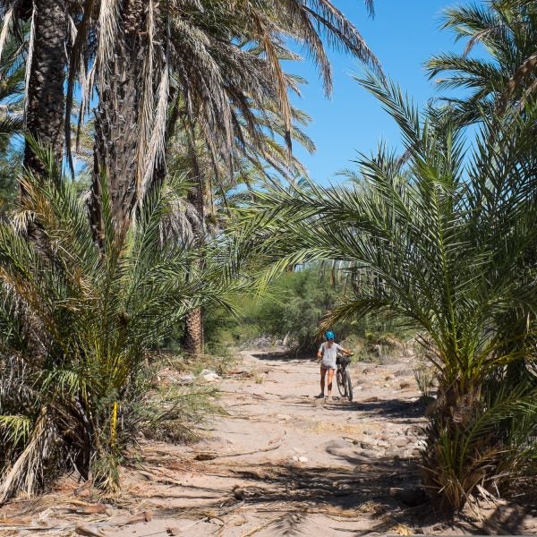 A sandy section of the Baja Divide.