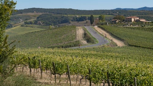 Unsurprisingly, there are a lot of vineyards along the road in Tuscany.