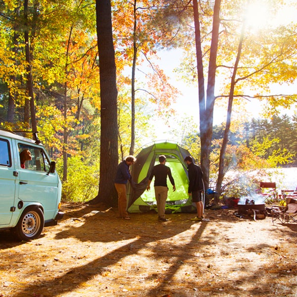 To find a perfect campsite, you should focus on safety, comfort, and fun.