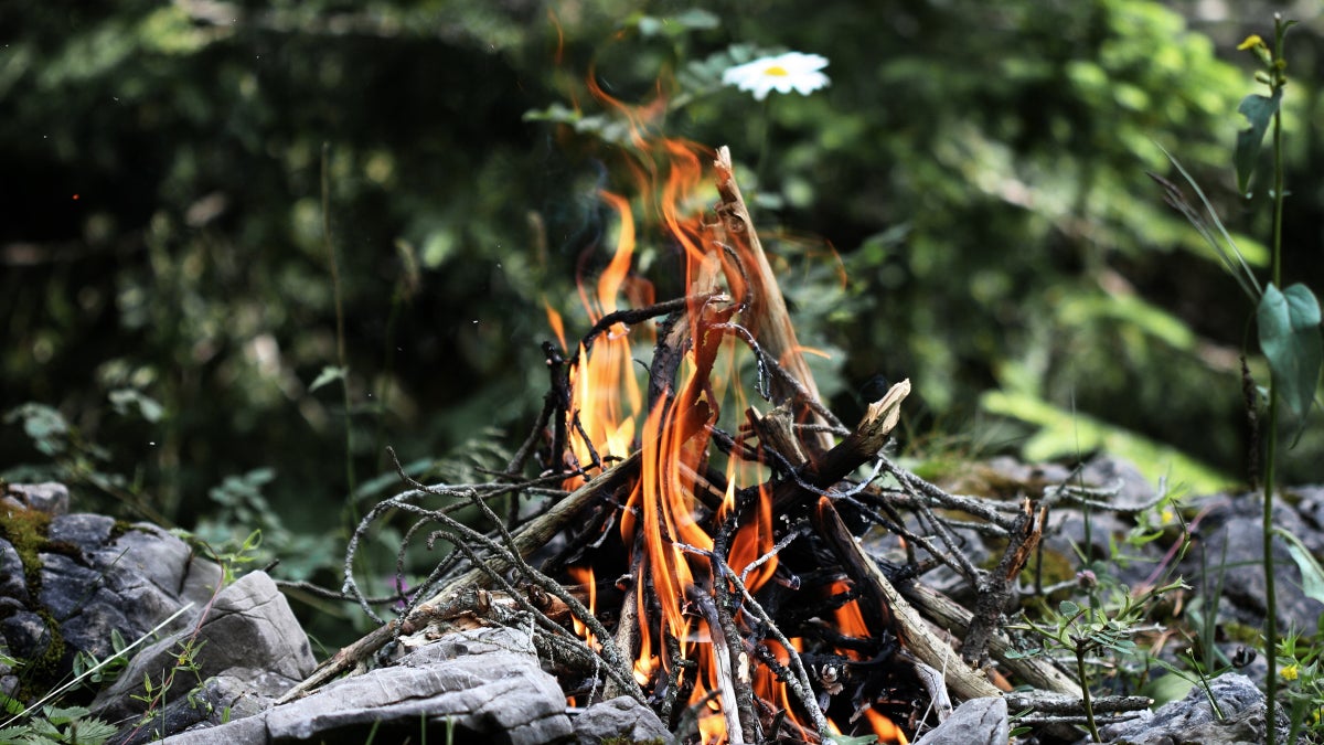 How to Start a Fire & 15 Other Essential Outdoor Skills Outside Online