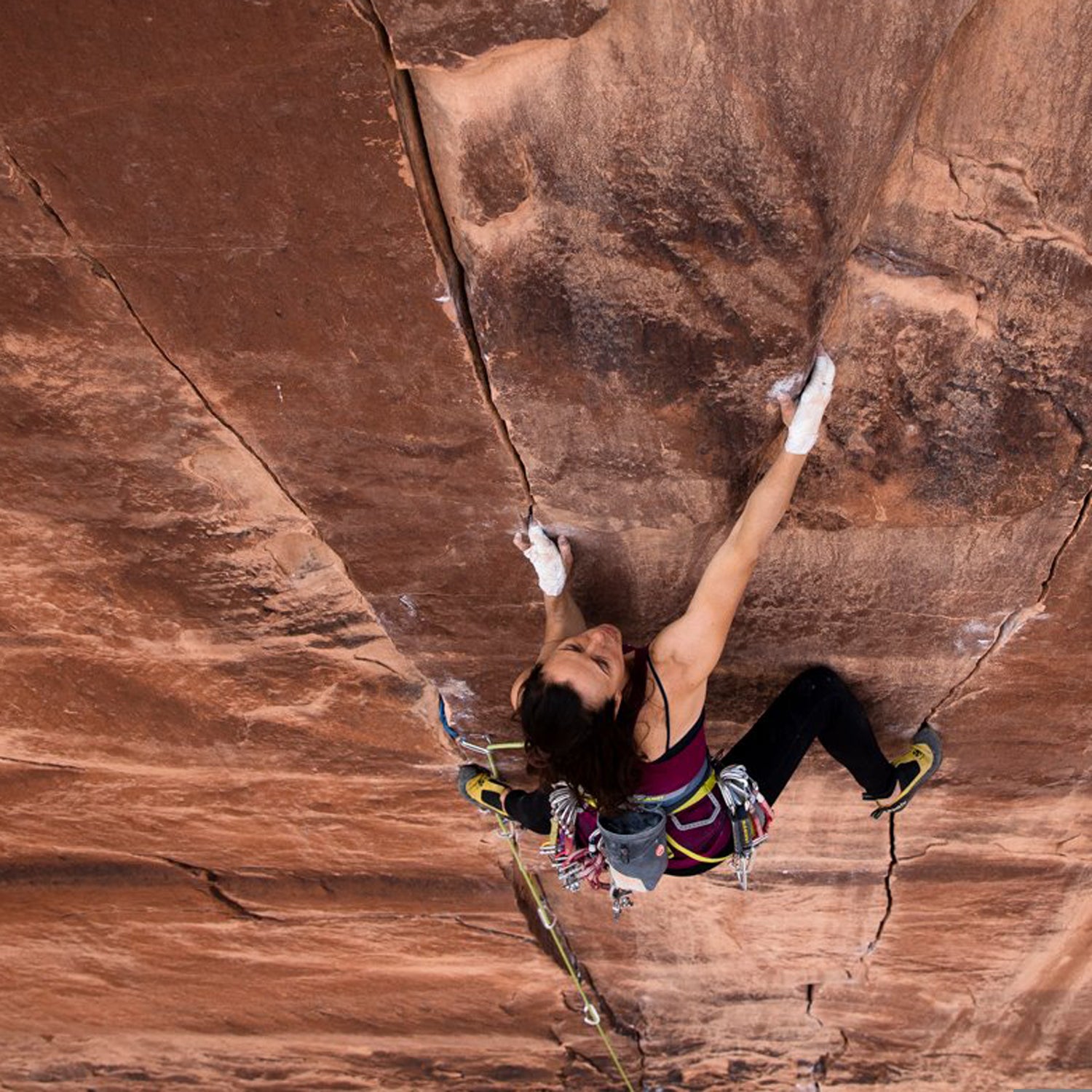 Davis has been a professional rock climber for over two decades.