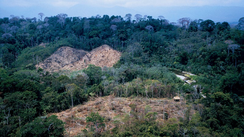 Clear-cuts near Boca de Cupe, a village in Darién National Park
