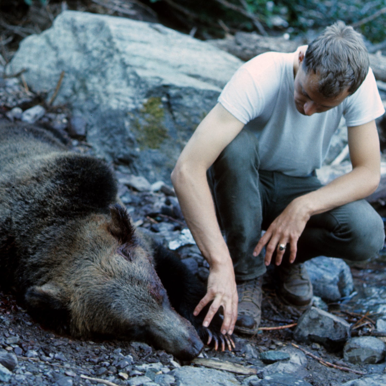 Glacier National Park ranger Leonard Landa with the grizzly bear that killed Michelle Koons in 1967 at Trout Lake.