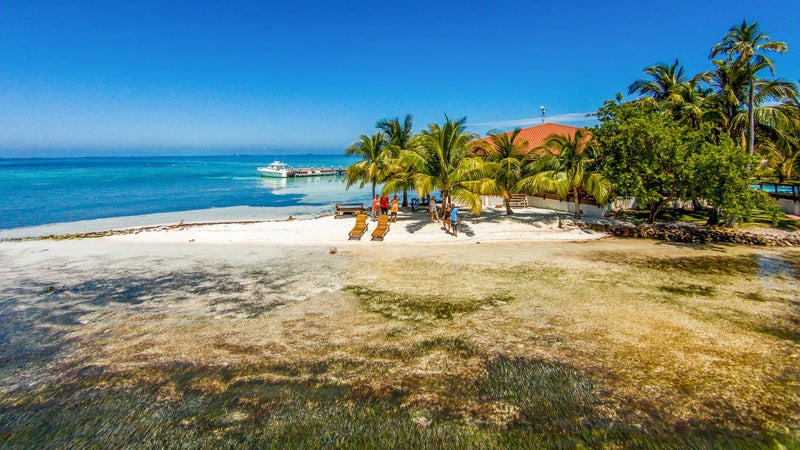 Hatchet Caye Island
