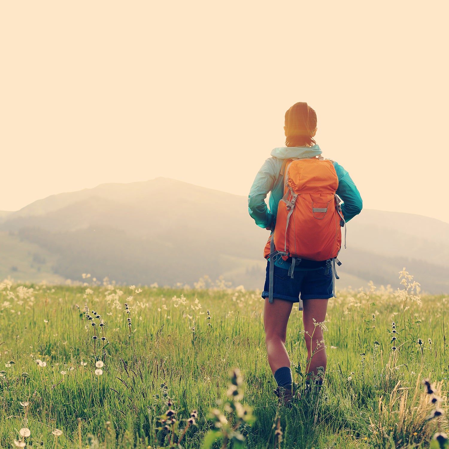 A walk in the woods is a superb way to build endurance and strength.