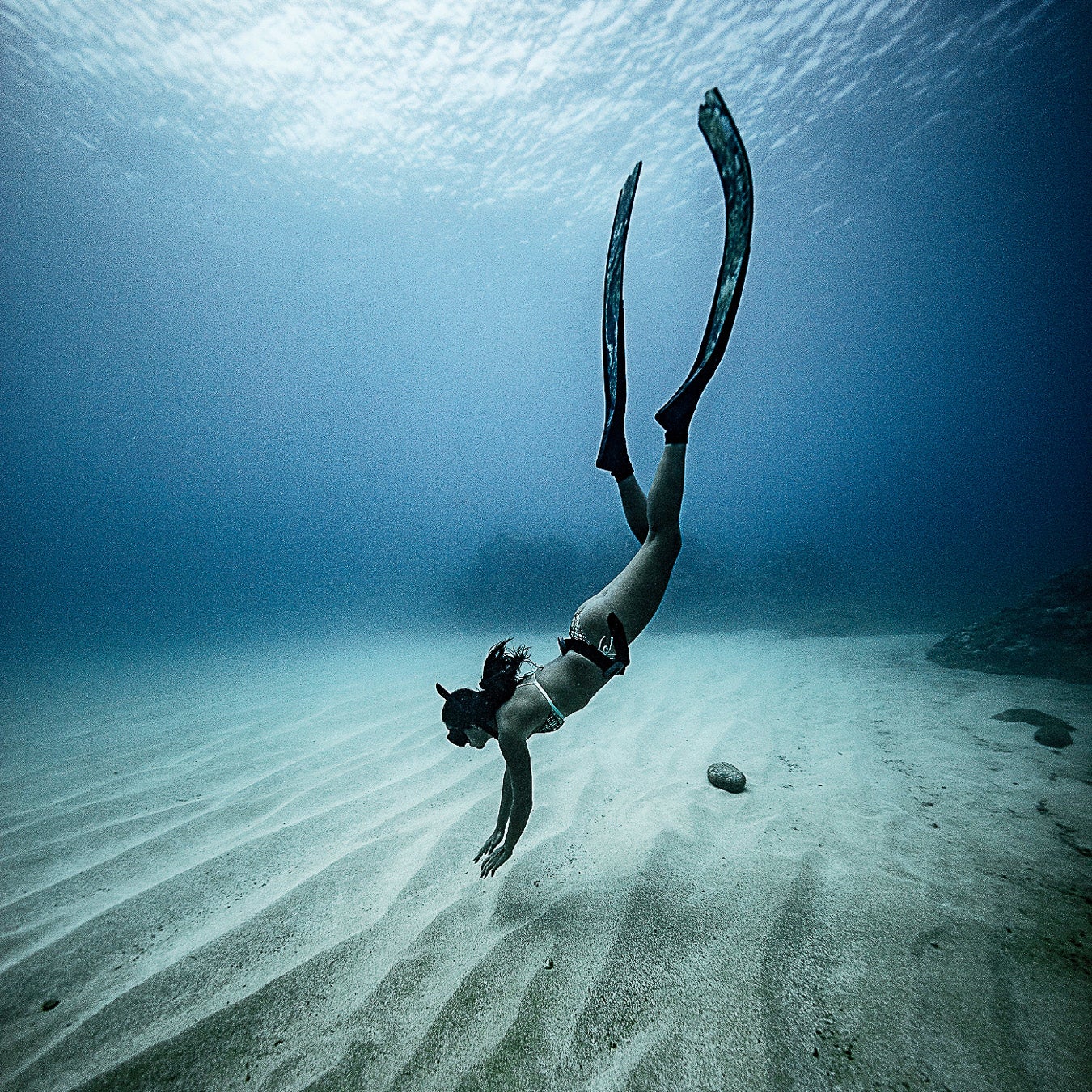 Werner diving off Oahu. "I've never had a five-year plan," she says. "Or even a one-year plan."