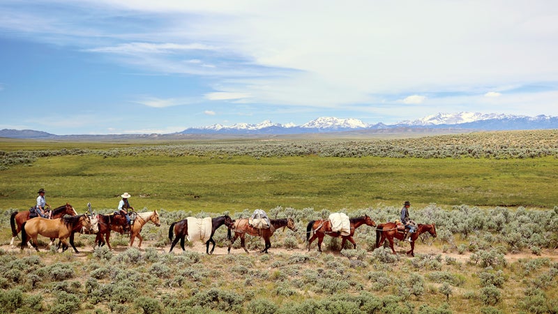 Approaching the Continental Divide, with the Wind River Range on the horizon and Quirt Rice leading the pack.