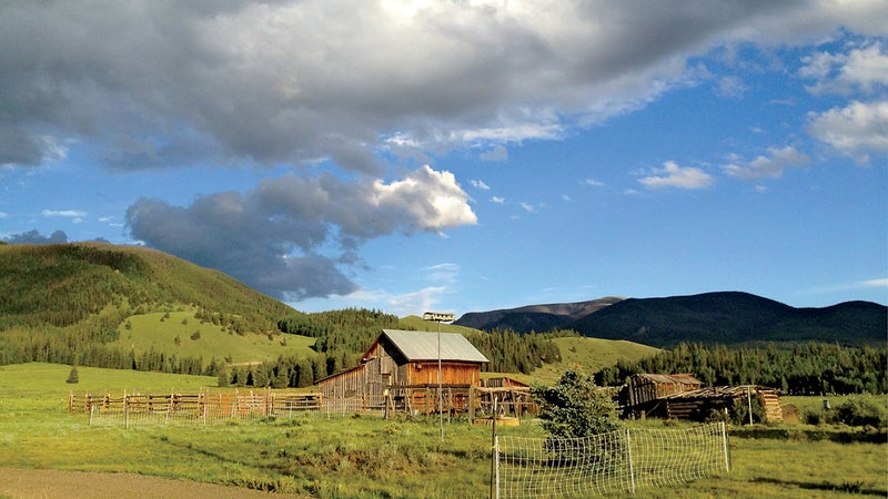 The author's barn in summer.