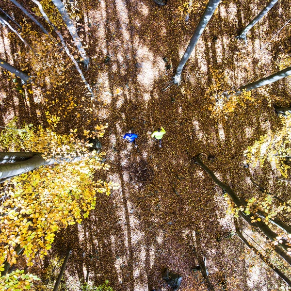 It may be a sport for all seasons, but fall running deserves a category all to itself.