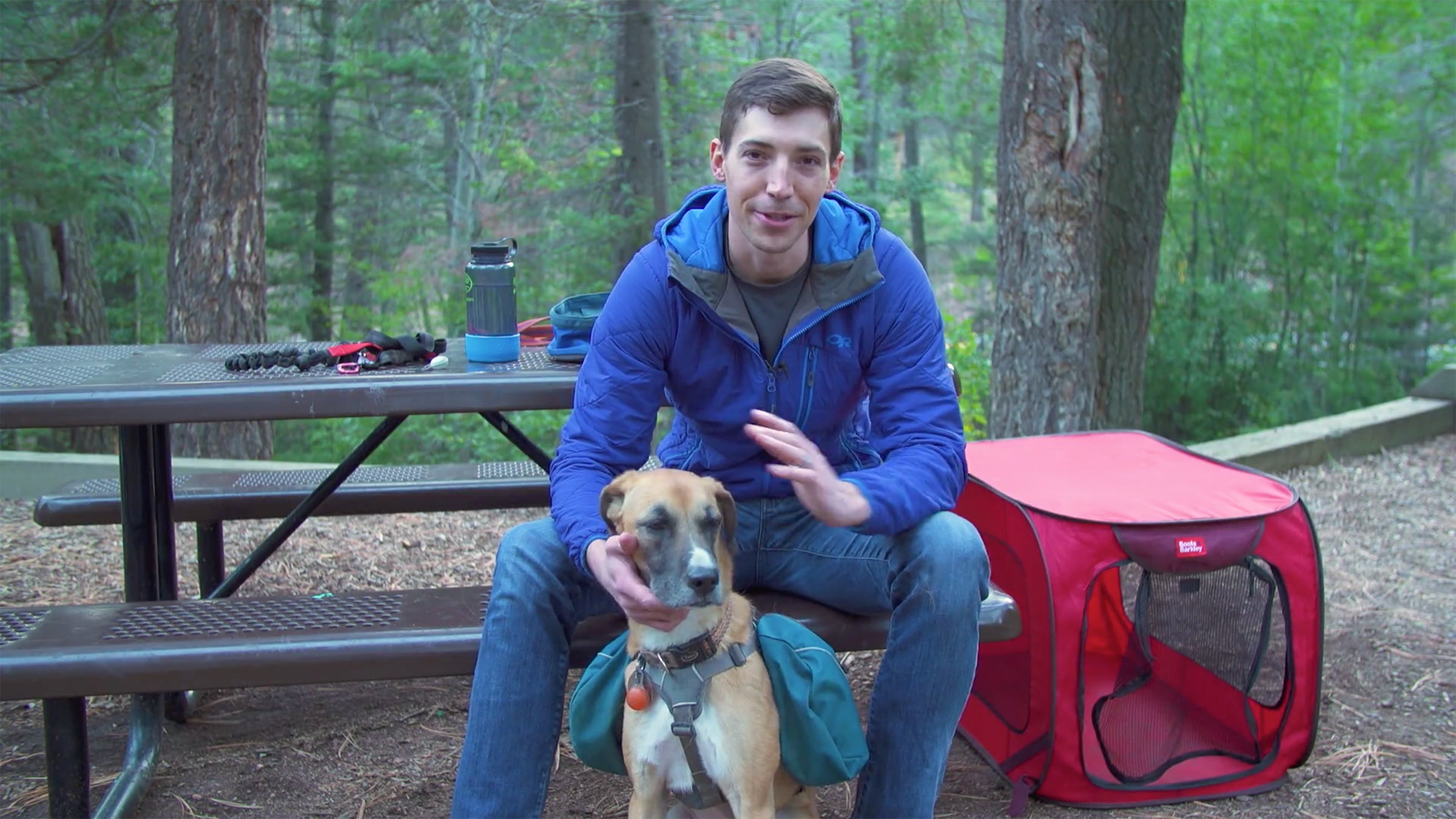 Can You Bring Dogs To Rei