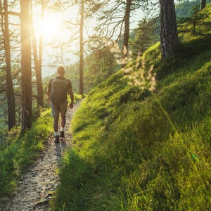 Senior man trail hiking in the forest