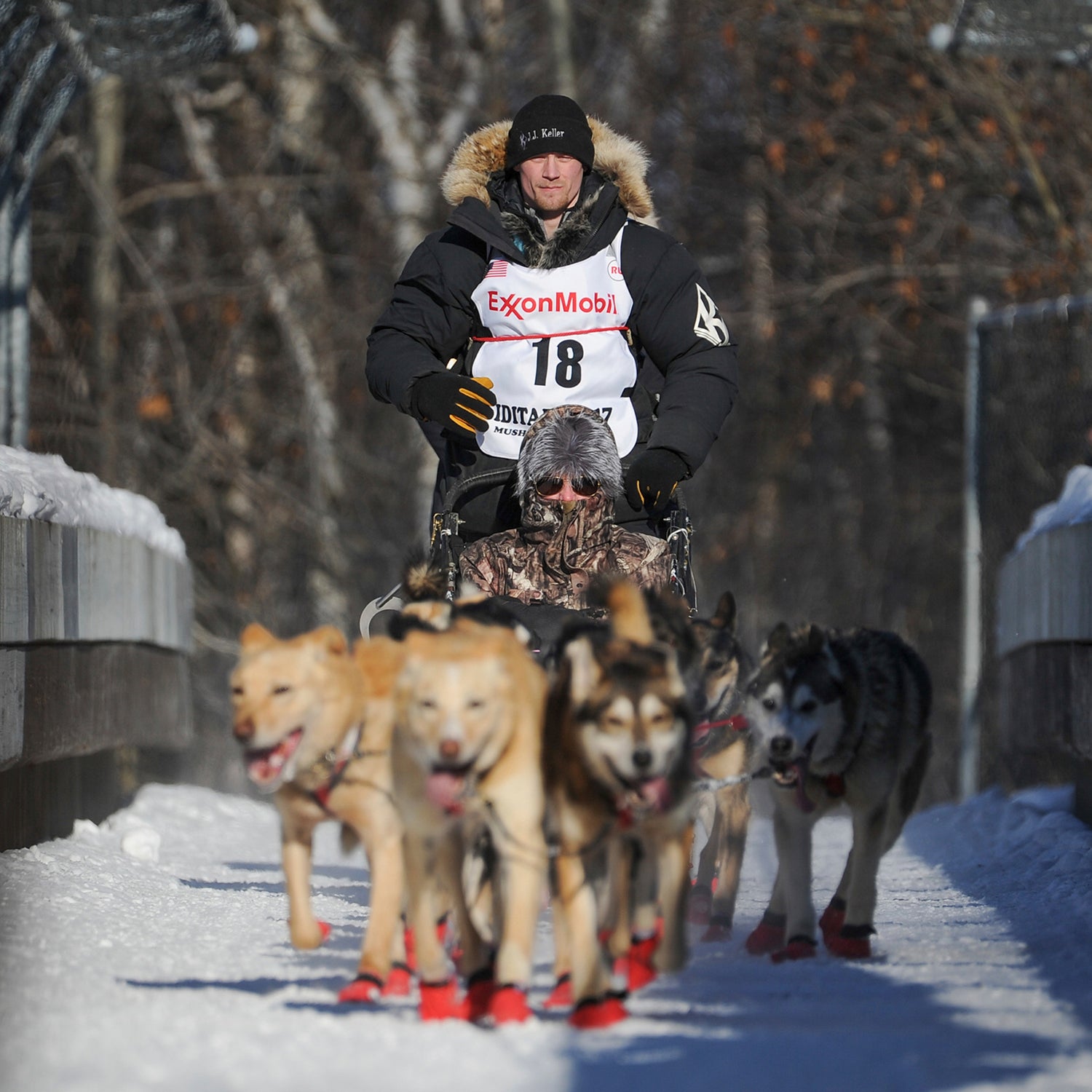 Several dogs on four-time champion Dallas Seavey’s team tested positive for an opioid pain medication last spring.