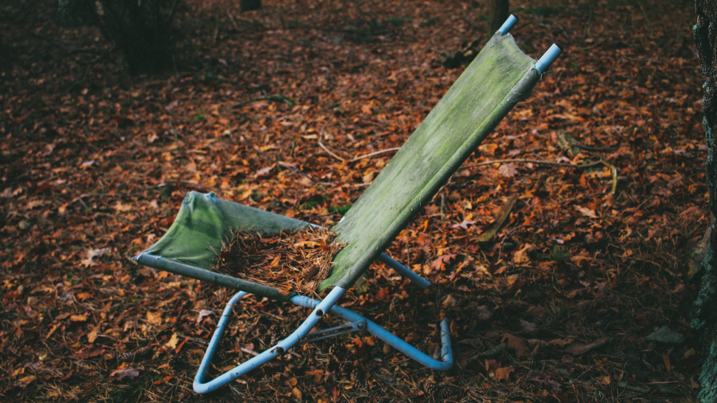 The folding bike is unbeatable when it comes to portability. 