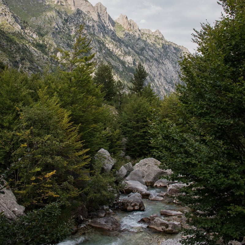 Meanwhile, the Albanian government granted multiple hydropower concessions on the Valbona River â allegedly without the required public notifications.