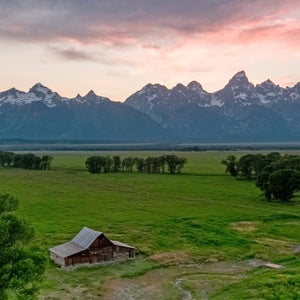 The acre seems endless.