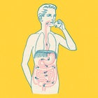 Your mom was more right than she knew when she told you 'You are what you eat.'