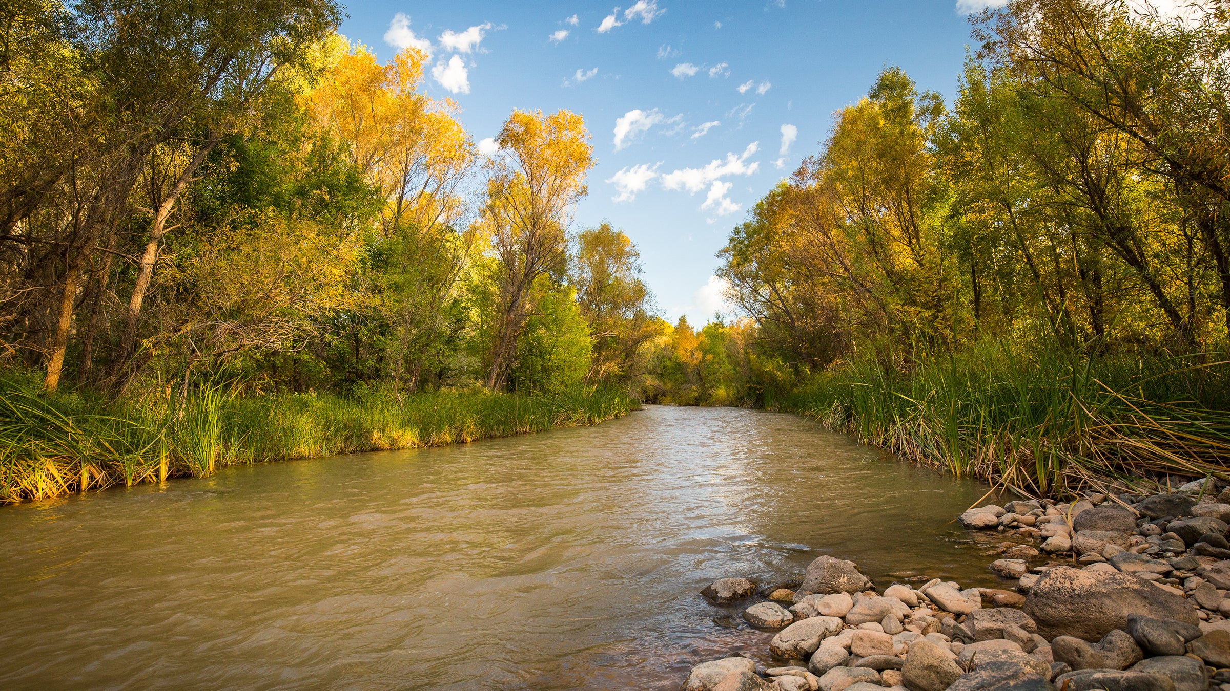 The Verde River in Arizona is a key tributary of the Lower Colorado River, which was named America’s Most Endangered River by American Rivers in 2017.