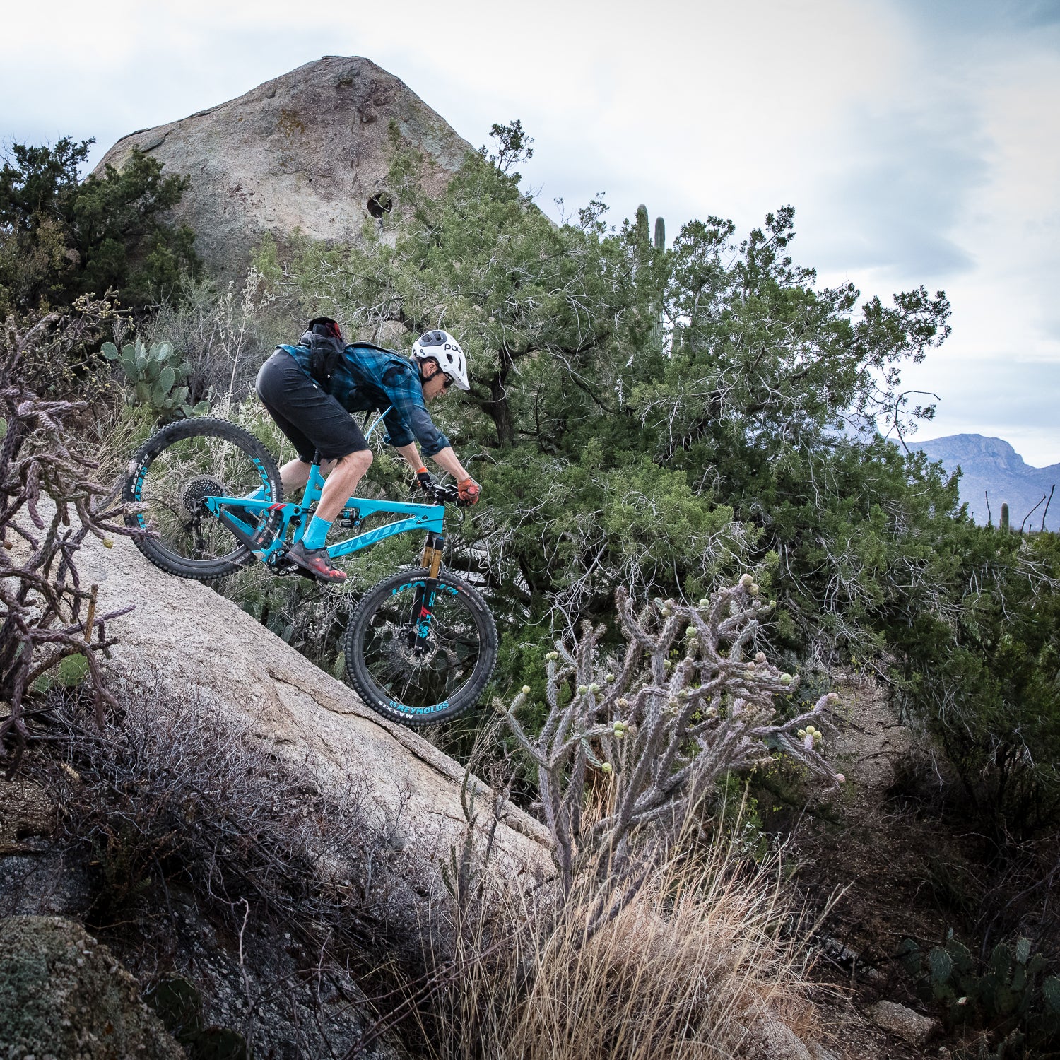 Our resident bike nerd has some niché rides to recomend.