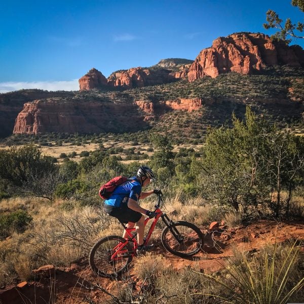 Can't decide which ride to choose? Demo them all.