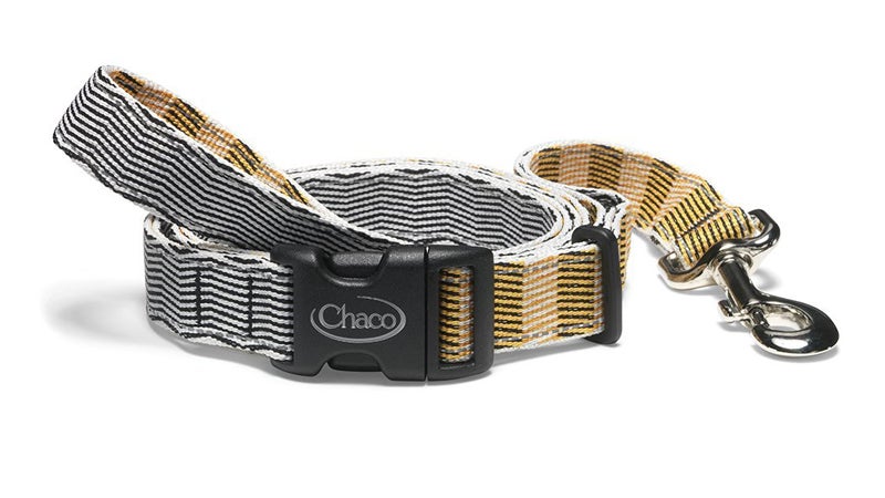 chaco dog leash amazon