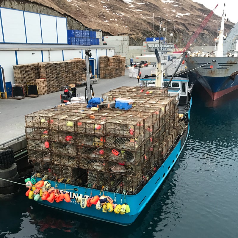 Image of the FV Destination in Dutch Harbor at the Kloosterboer cold-storage facility, Feburary 9th, 2017.