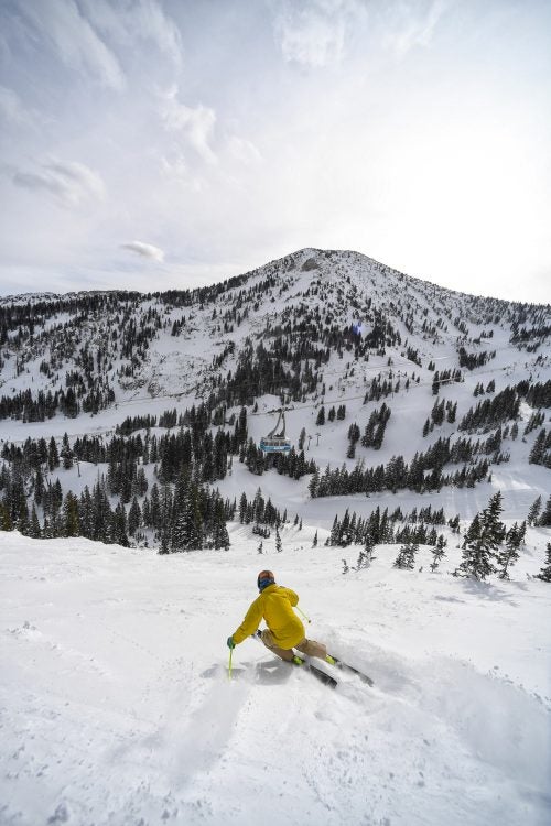 Andrew McCloskey
Snowbird, Utah